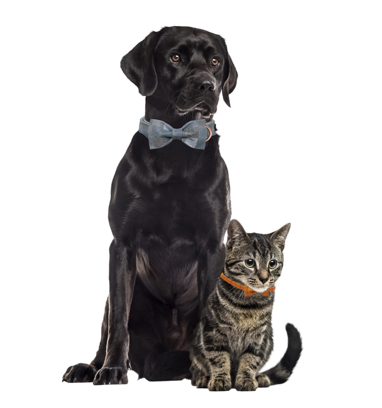Maca Bates Fall Dog Collar With Bow Tie Soft Cotton Pumpkin Plaid Dogs Collars With Bowtie Checkered Halloween Thanksgiving Day Adjustable Puppy Colar For Small Medium Large Girl Boy Male Female Pet