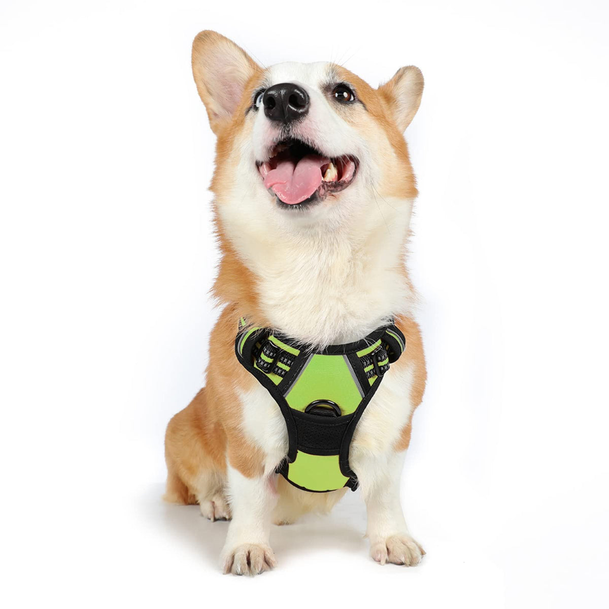 Rabbitgoo Dog Harness, No-Pull Pet Harness With 2 Leash Clips, Adjustable Soft Padded Dog Vest, Reflective No-Choke Pet Oxford Vest With Easy Control Handle For Medium Dogs, Wild Lime, M