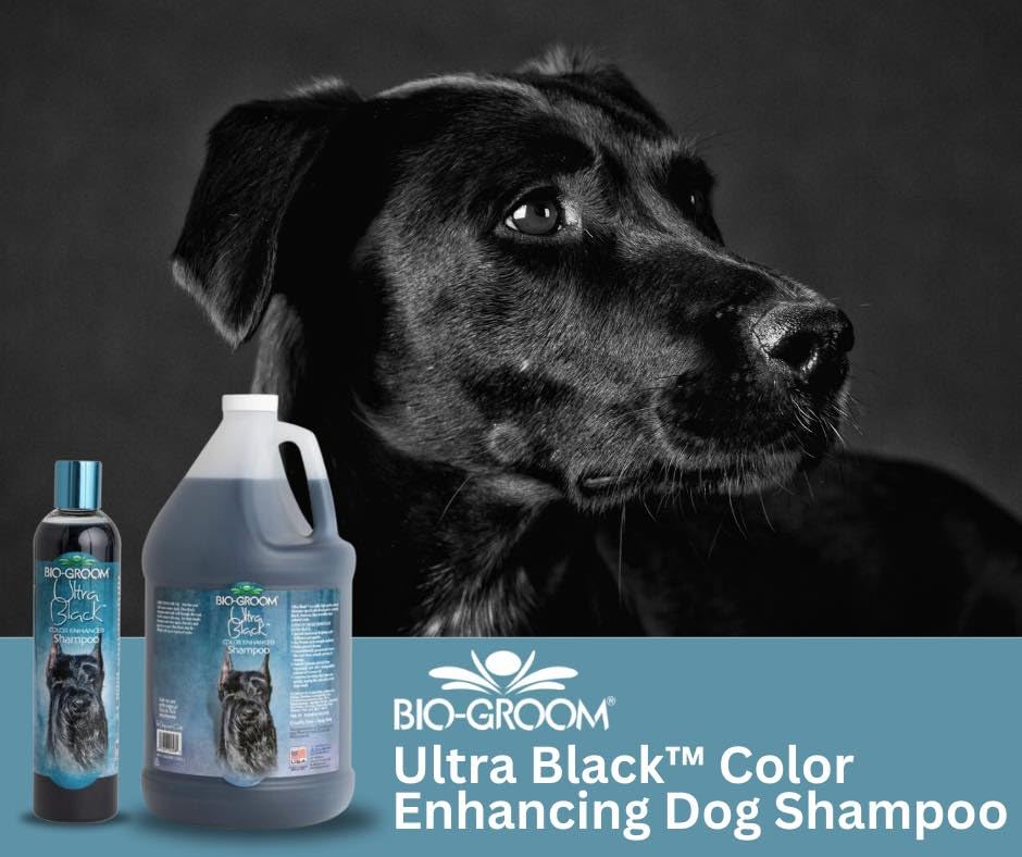 Bio-Groom Ultra-Black Dog Shampoo - Color Enhancing Pet Shampoo, Dog Bathing Supplies, Puppy Wash, Dog Grooming Supplies, Cruelty-Free, Made In Usa, Coat Brightener Shampoo - 1 Gallon