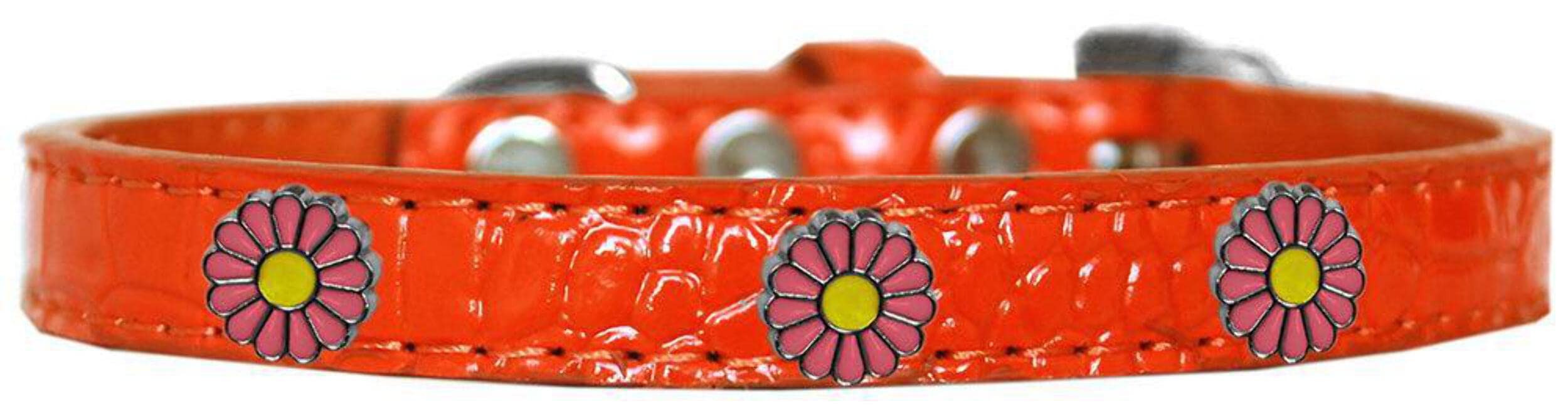 Dog, Puppy & Pet Designer Croc Widget Collar, &quot;Pink Daisies&quot; Copper 20