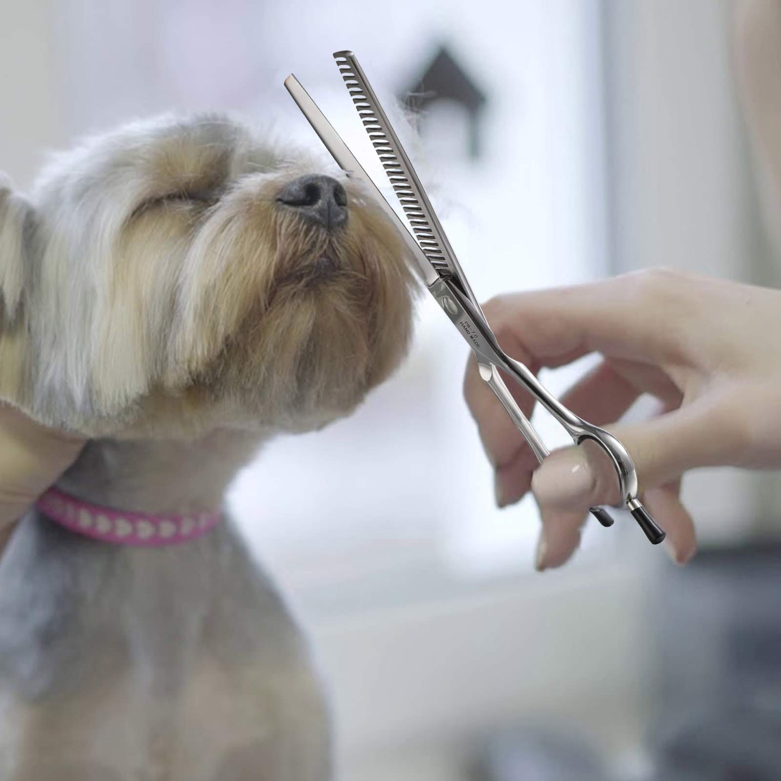 7 Inch Straight Dog Grooming Scissors Pet Thinning Texturizing Shears Professional Safety Blunt Tip Trimming Shearing For Dogs Cats Face Paws Limbs Japanese Stainless Steel Silver