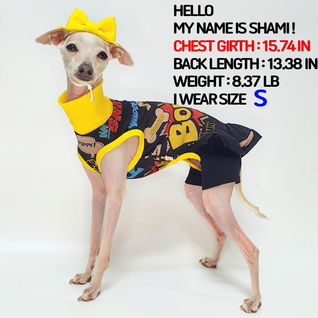 D Doggy Star Italian Greyhound Clothes Stretchable Bow Leggings One-Piece Whippet For Dog (M,Ops Bow Black)