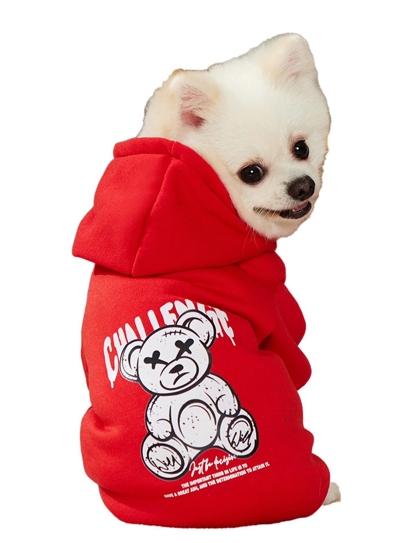 Qwinee Cartoon Bear Print Dog Hoodie Dog Sweatshirt Cat Shirt Apparel Winter Warm Dog Clothes For Puppy Kitten Cat Small Medium 