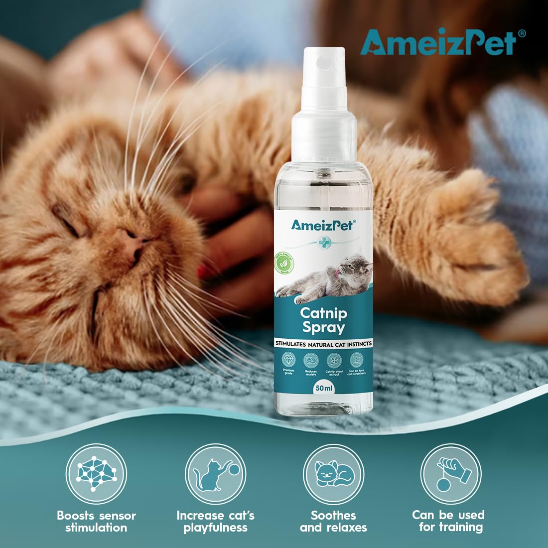 AmeizPet Catnip Spray for Cats, Cat Scratching Sprays, Transparent Cat & Kitten Behaviour Spray 50 ml (1.69 Oz)