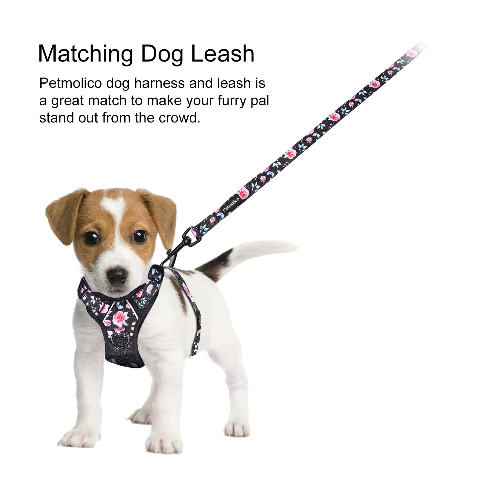 Petmolico No Pull Dog Harness And Leash Set, No Choke 4 Leash Attchments Easy Control Handle Soft Padded Reflective Vest Dog Har