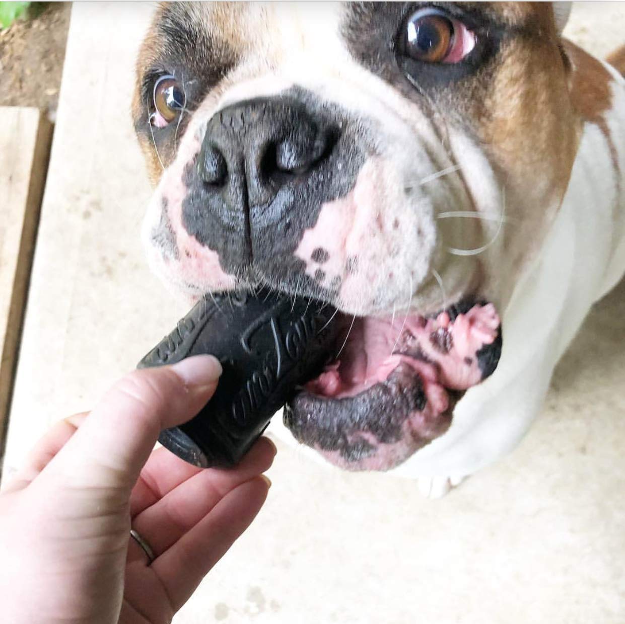SP Magnum Can Toy Ultra Durable Rubber Chew Toy & Treat Dispenser