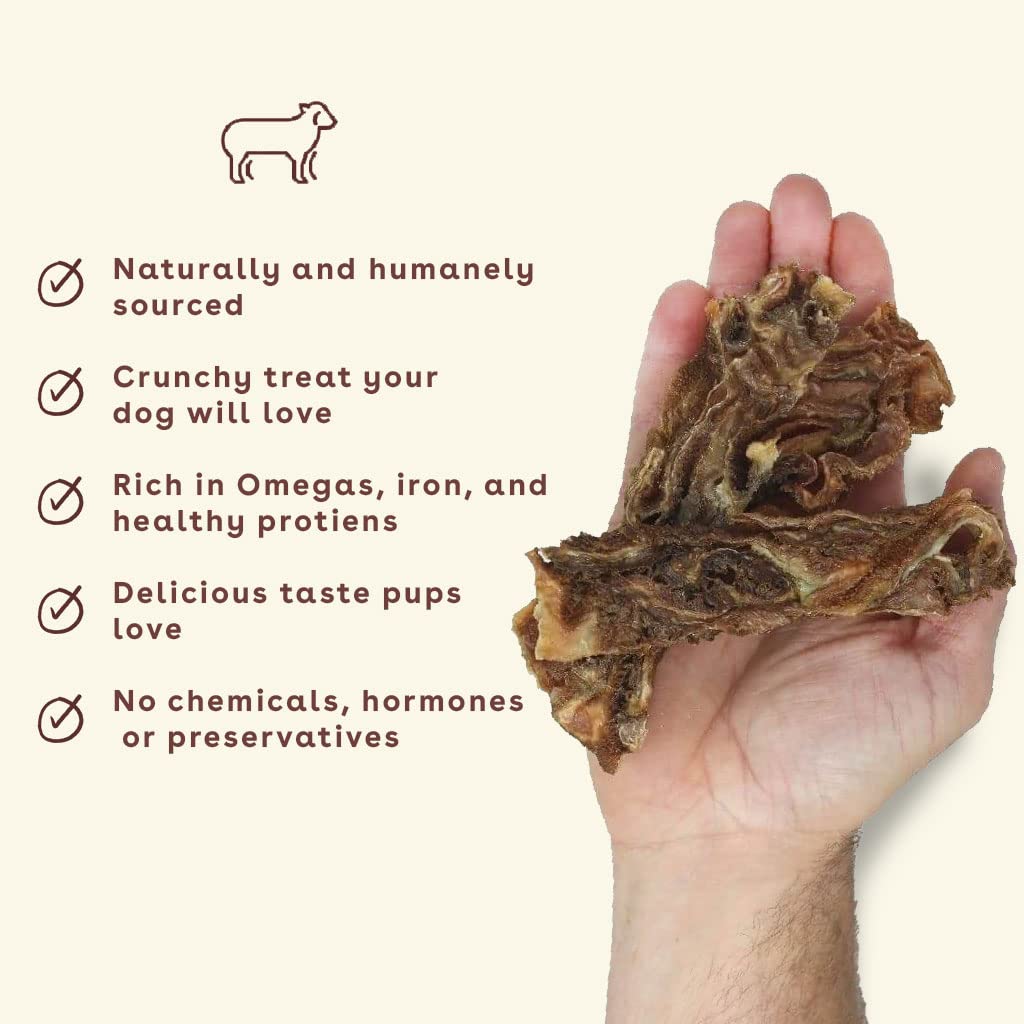 Pupford Lamb Jerky Treats for Dogs for Large & Small Dogs of All Ages | Made in USA, 100% Real Meat & No Fillers | Dogs Love The