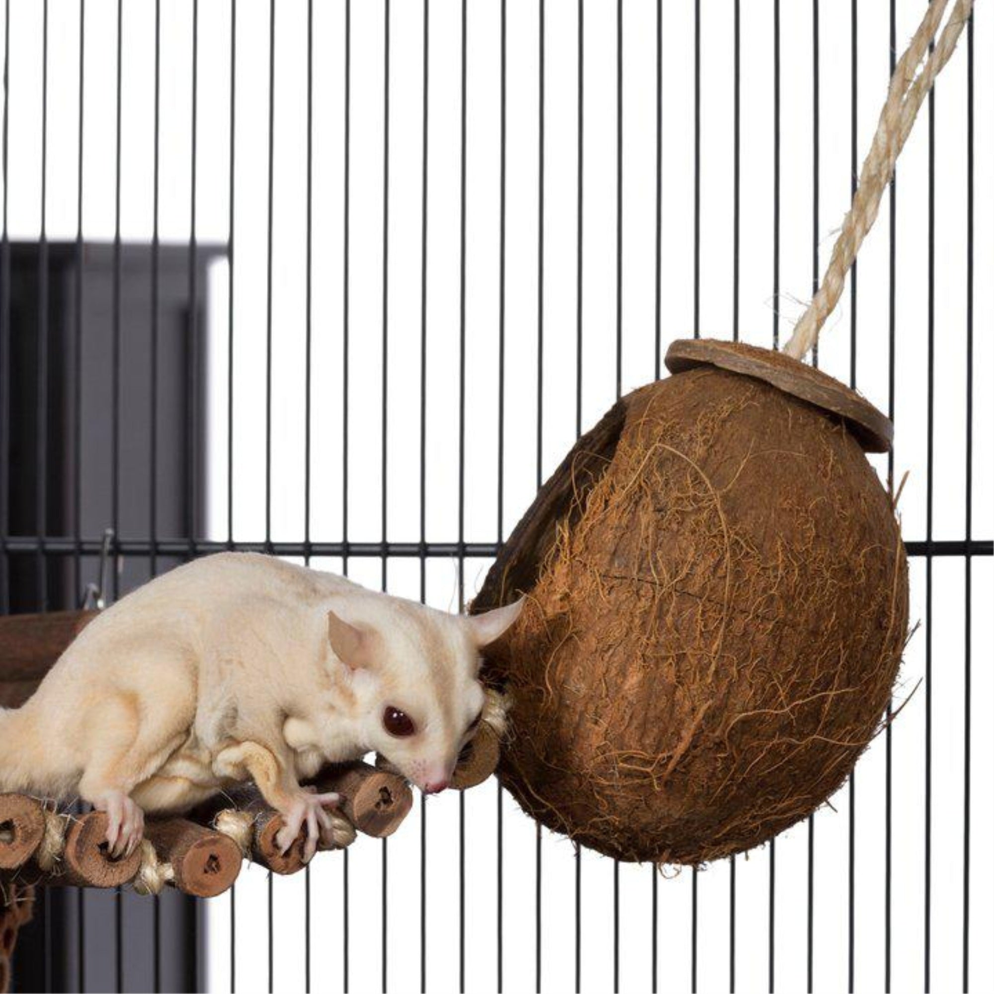 Coco Hideaway W/Bird Ladder