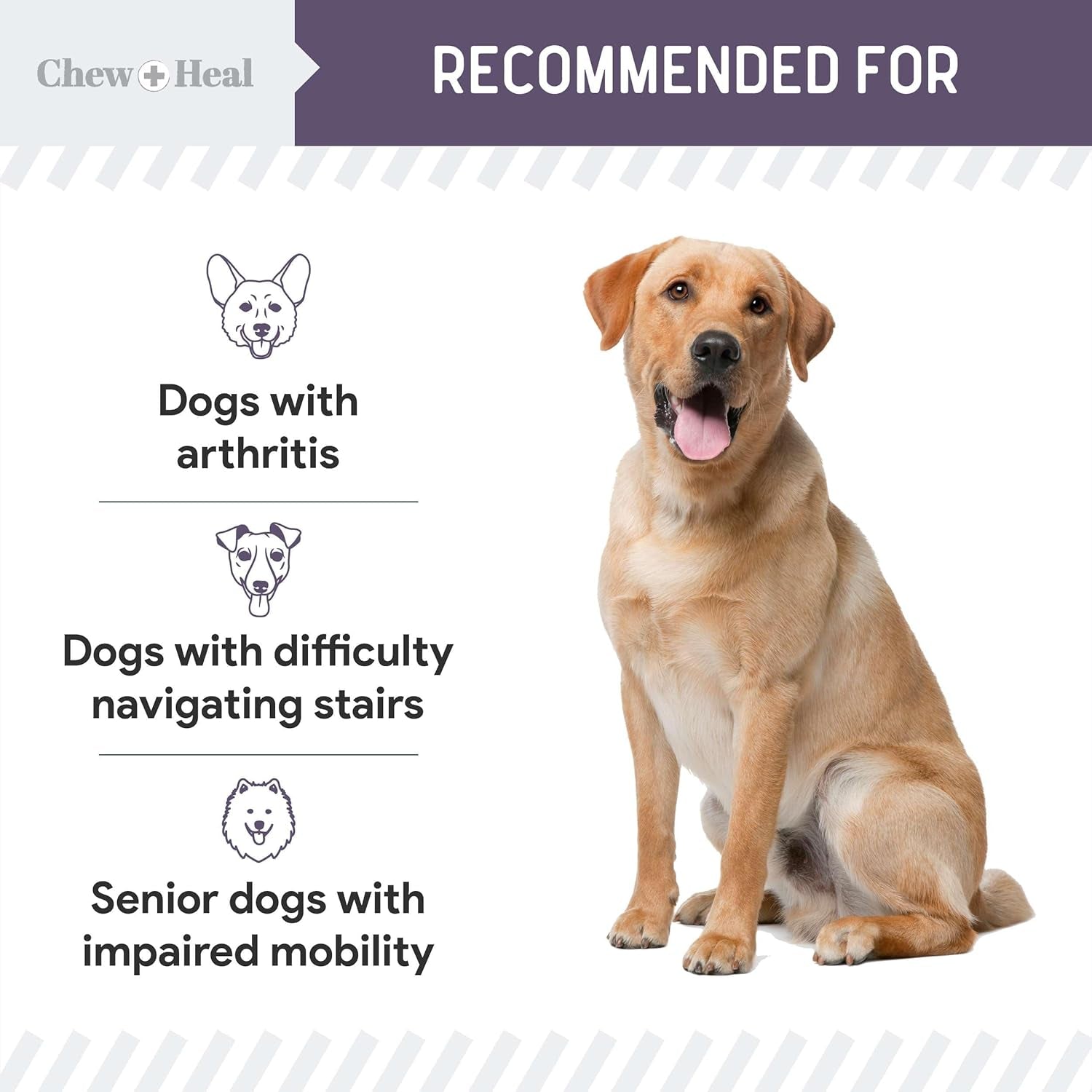 Senior Dog Joint Supplement with Glucosamine, MSM & Boswellia, 120 Tablets