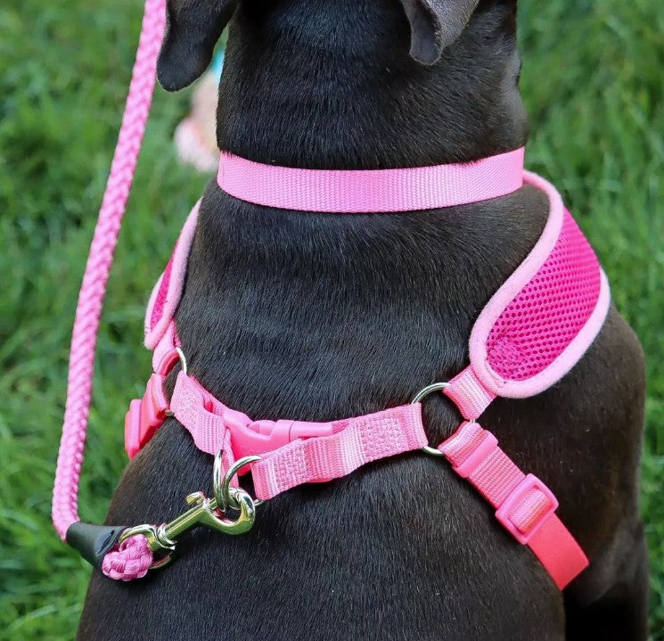 Coastal Pet Comfort Soft Wrap Adjustable Dog Harness - Comfortable Harness For Dog - Adjustable Fit - Easy Step-In Design - Breathable Fabric Mesh - Orchid, 5/8' X 19'-23'