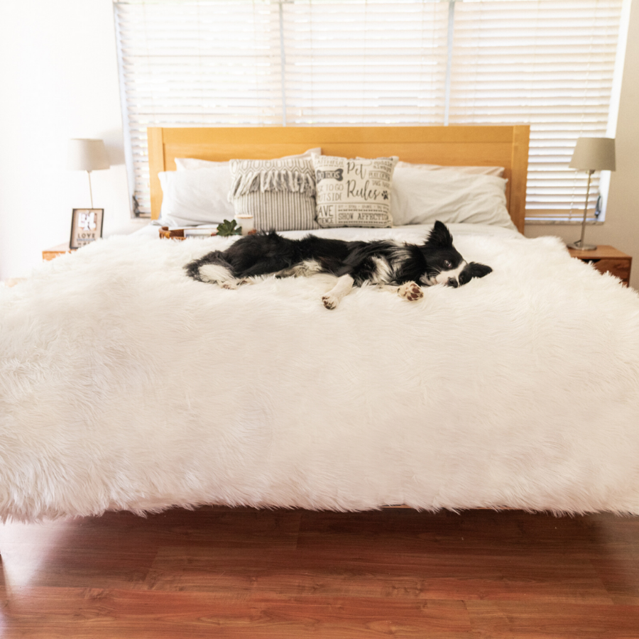 PupProtector Waterproof Throw Blanket - Polar White
