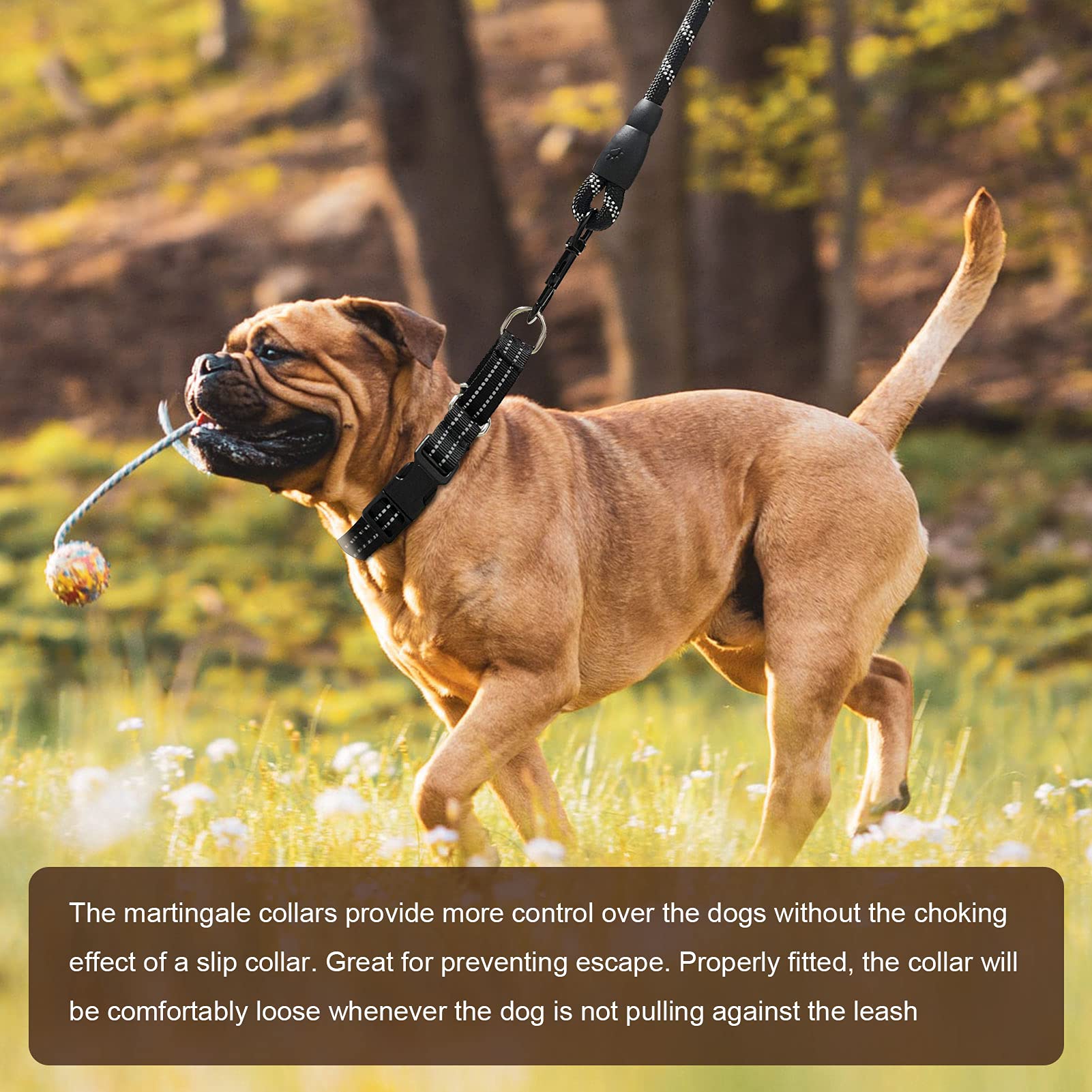 Hikiko Martingale Collar For Dogs Reflective Nylon Puppy Dog Collar With Quick Release Buckle Adjustable Training No Slip Dog Co