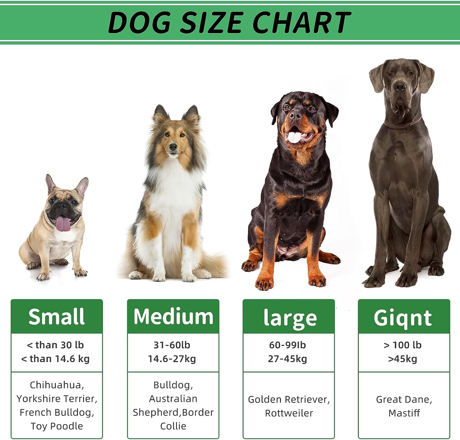 Pamlulu Christmas Dog Gifts, Dog Toys For Small Dogs Dog Toothbrush For Teething Cleaning, Rubber Dog Squeaky Toys For Puppy