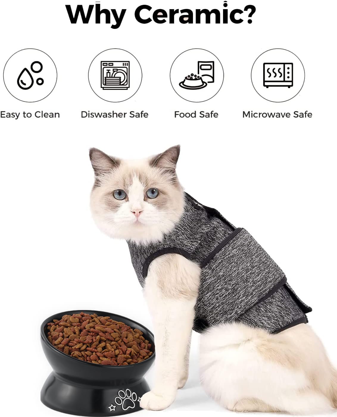 LoeJan Elevated Cat Food Bowl, 5 Oz Ceramic Raised and Tilted Water Bowl, Anti Vomiting and Protect Pets  Spines Dishes for Sma
