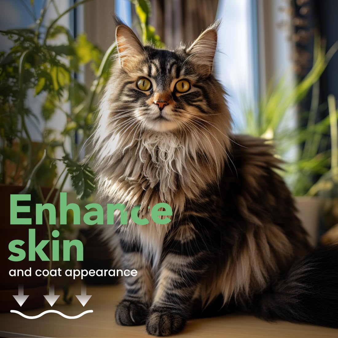 Best Shot Scentament Spa Botanical Body Splash, Detangler Spray, Body Spray For Pets, Cat And Dog Cologne Spray, Lemon Vanilla, 8 Oz.