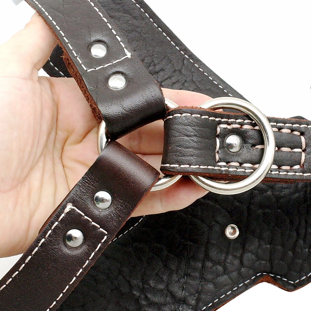 PET ARTIST Heavy Duty Leather Dog Harness for Medium Dogs