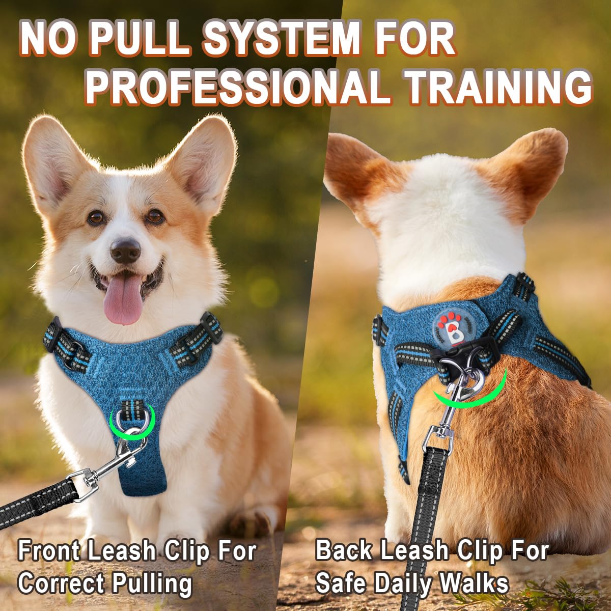 Barkbay Dog Harness, Reflective Adjustable Step-In Vest Harness, Blue/Black, Xxs