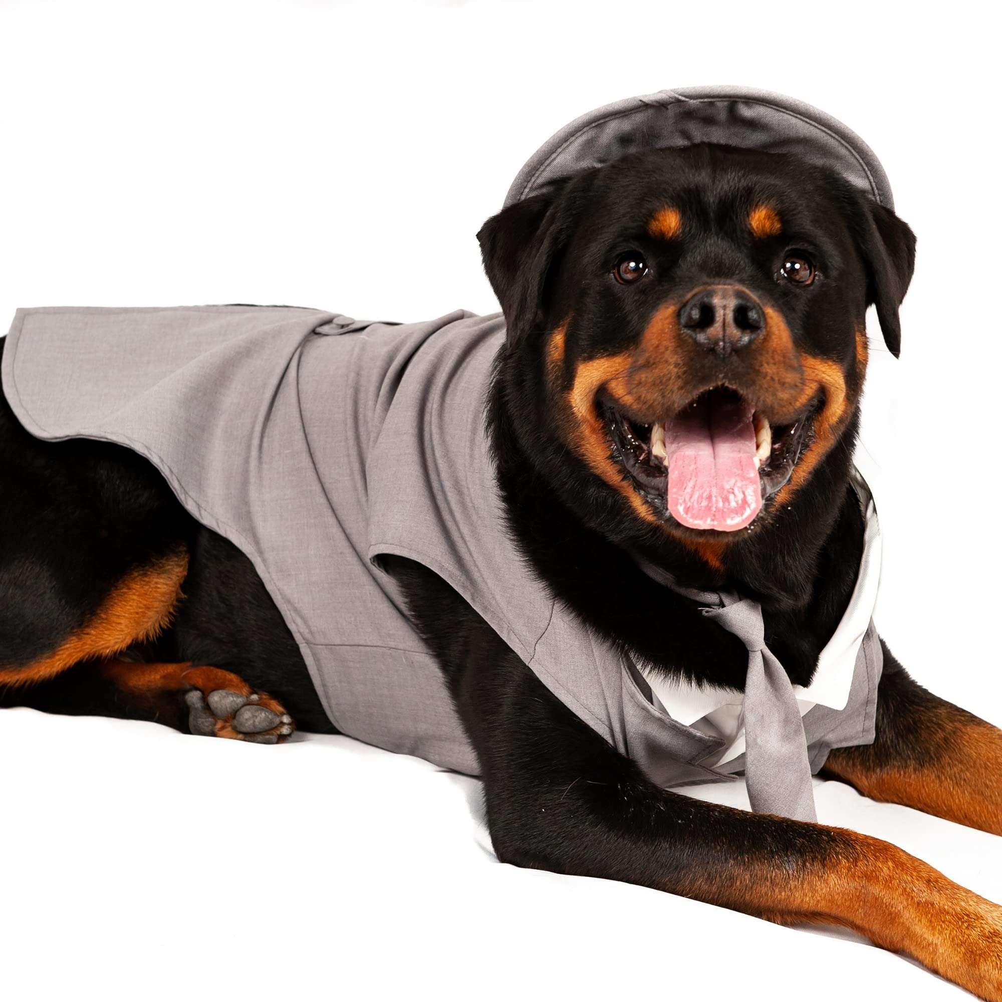 Midlee Dog Tuxedo Wedding Suit- Gray Top Hat & Leash (Xx-Large)