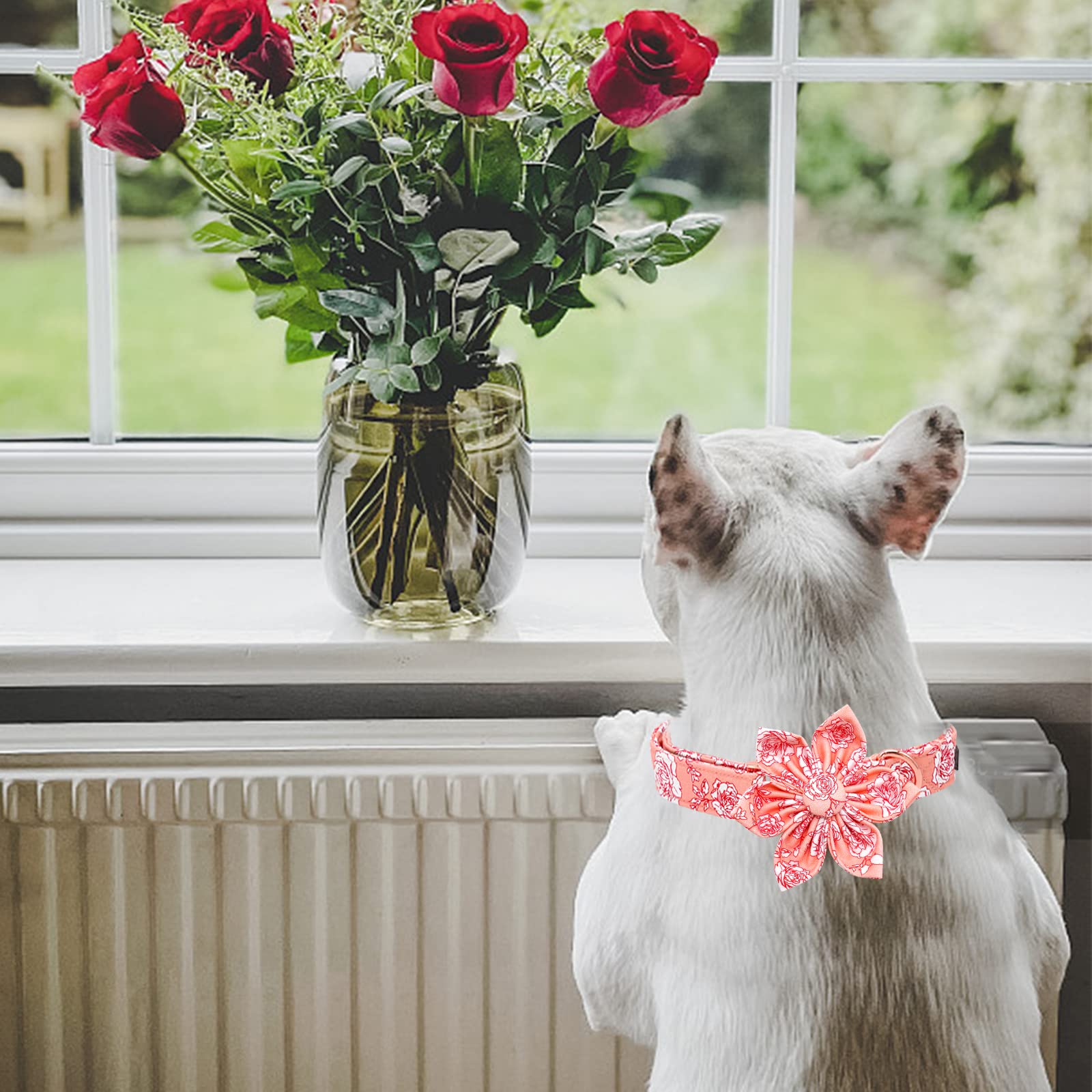 Lionheart Glory Valentine 's Day Dog Collar with Flower Pattern, Pink Collar with Bowtie for X-Large Dogs