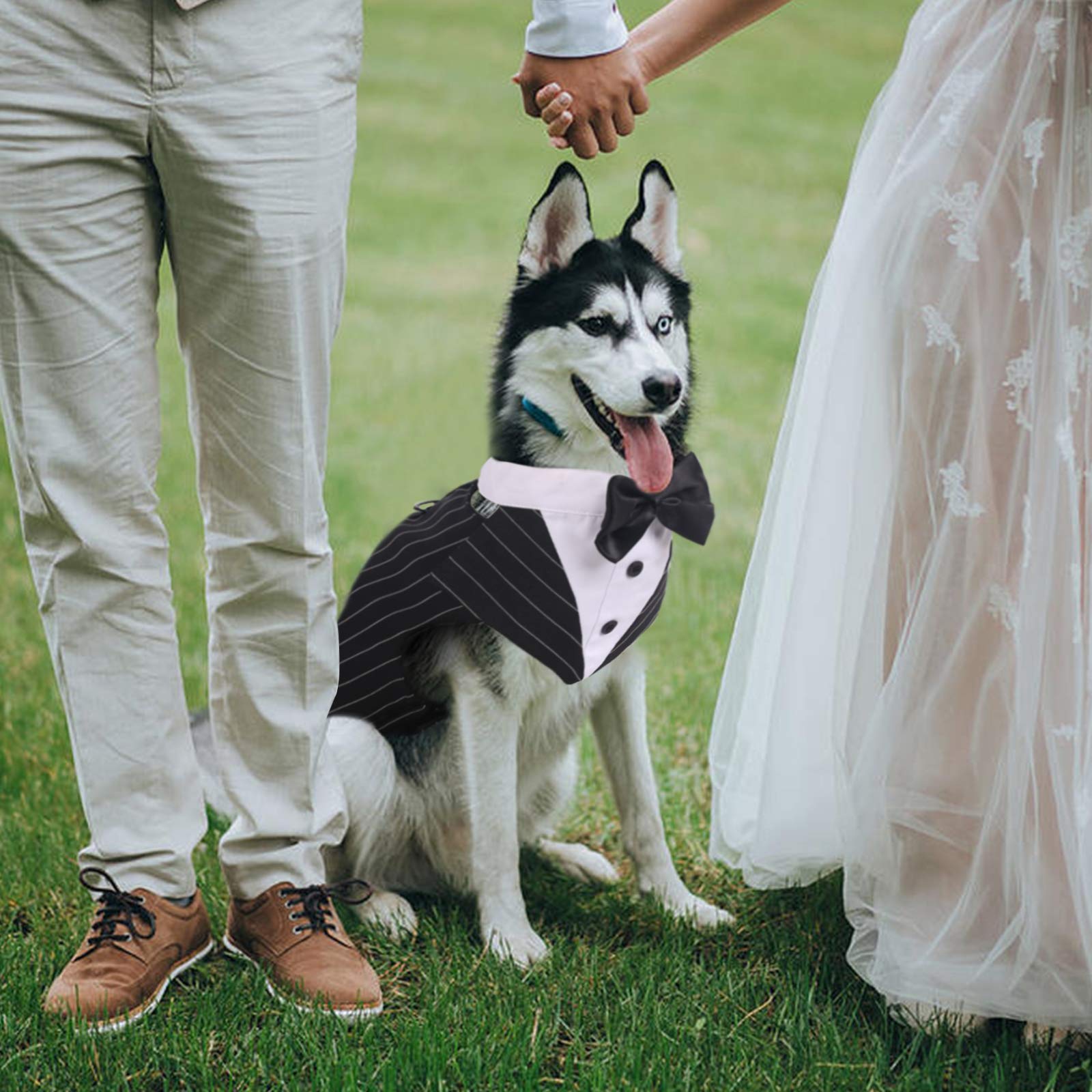 Idomik Dog Tuxedo For Small Medium Large Doggie, Detachable Dog Formal Wedding Suit With Tuxedo Vest & Bow Ties Collar & Bandana