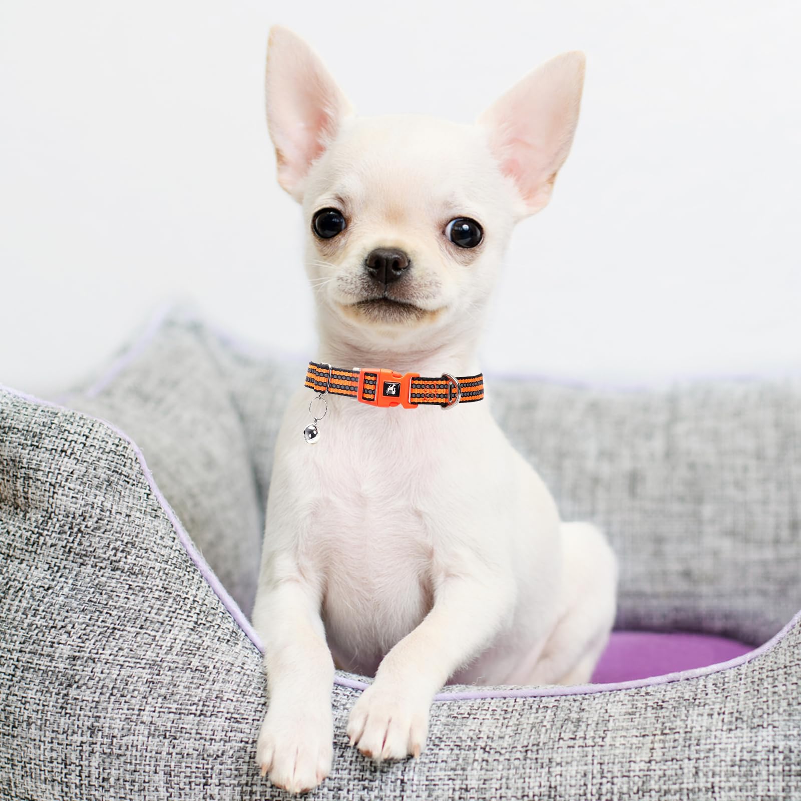 Onefojojo Small Dog Collar With Bell - Cute Reflective Puppy Collar Gift For Boy/Girl, Adjustable Nylon Collar For Chihuahua Pom