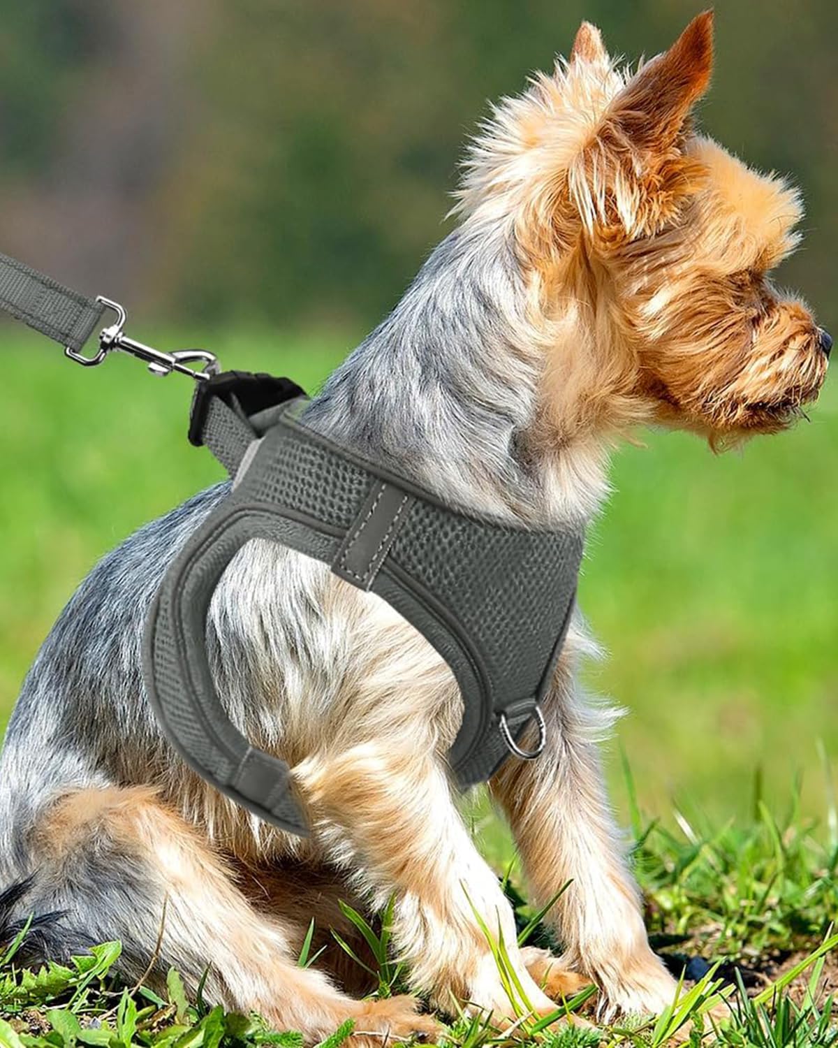 Joytale Small Dog Harness, Breathable Mesh Step-In Vest, Reflective Soft Padded Harnesses Small Sized Dog For Walking, Gray, S