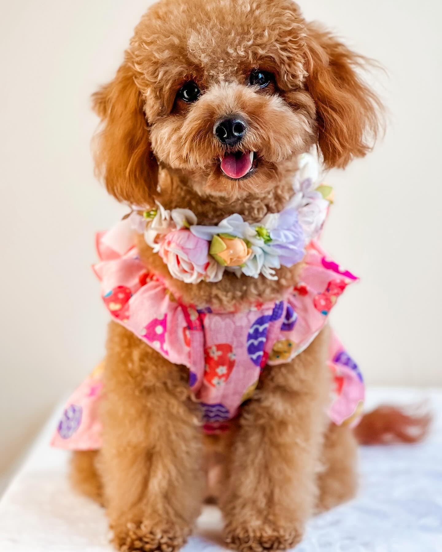 Fitwarm Easter Egg Dog Dress, Holiday Dog Clothes for Small Dogs Girl, Pet Easter Outfit, Pink, Yellow, Purple, XS