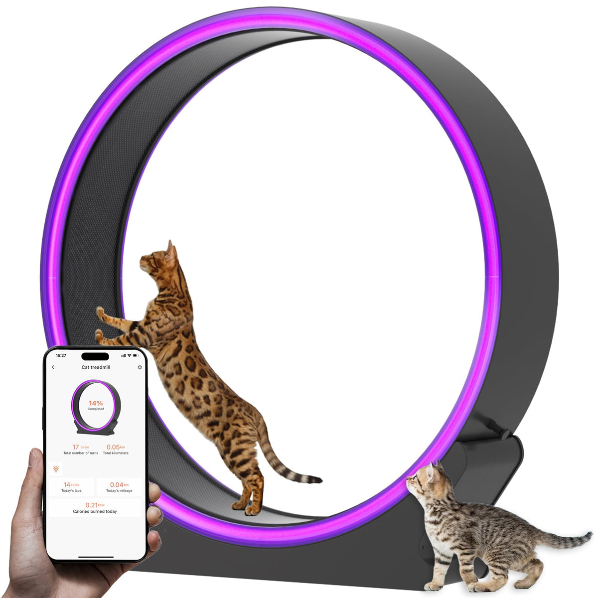 Miwooyy Smart Led Cat Exercise Wheel Large - 40 Inch Purple Abs Plastic Cat Wheel Exerciser For Indoor Cats, Safety Cat Treadmil