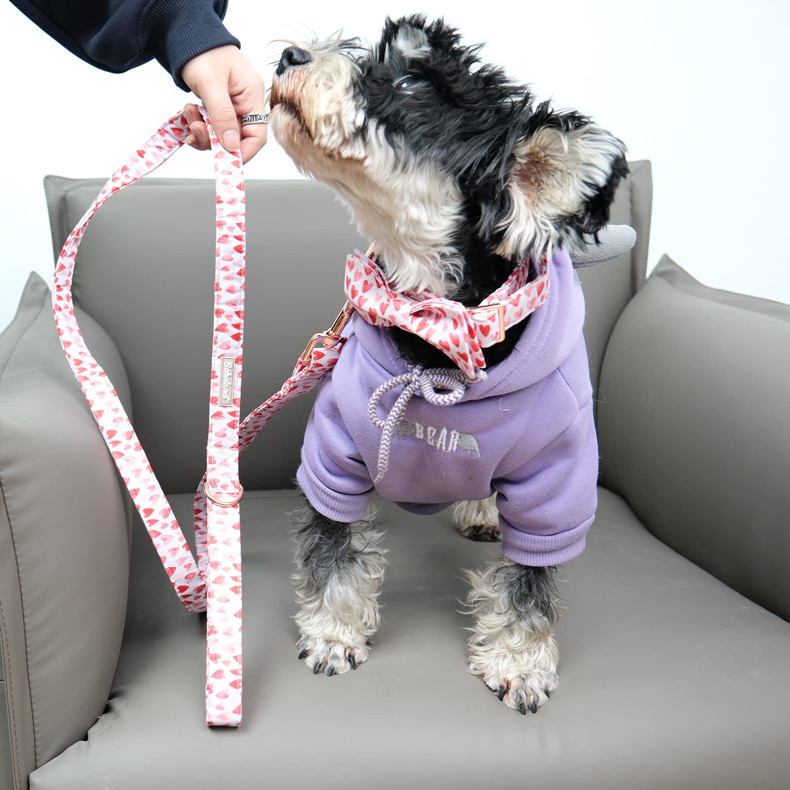 Babole Pet Valentine'S Day Dog Leash,Durable Handmade Dog Leashes With Soft Handle,Manual Dog Leashes Matching White Red Pink Love Dog Collars For Small Medium Large Dogs,Xs,Lenth 120Cm
