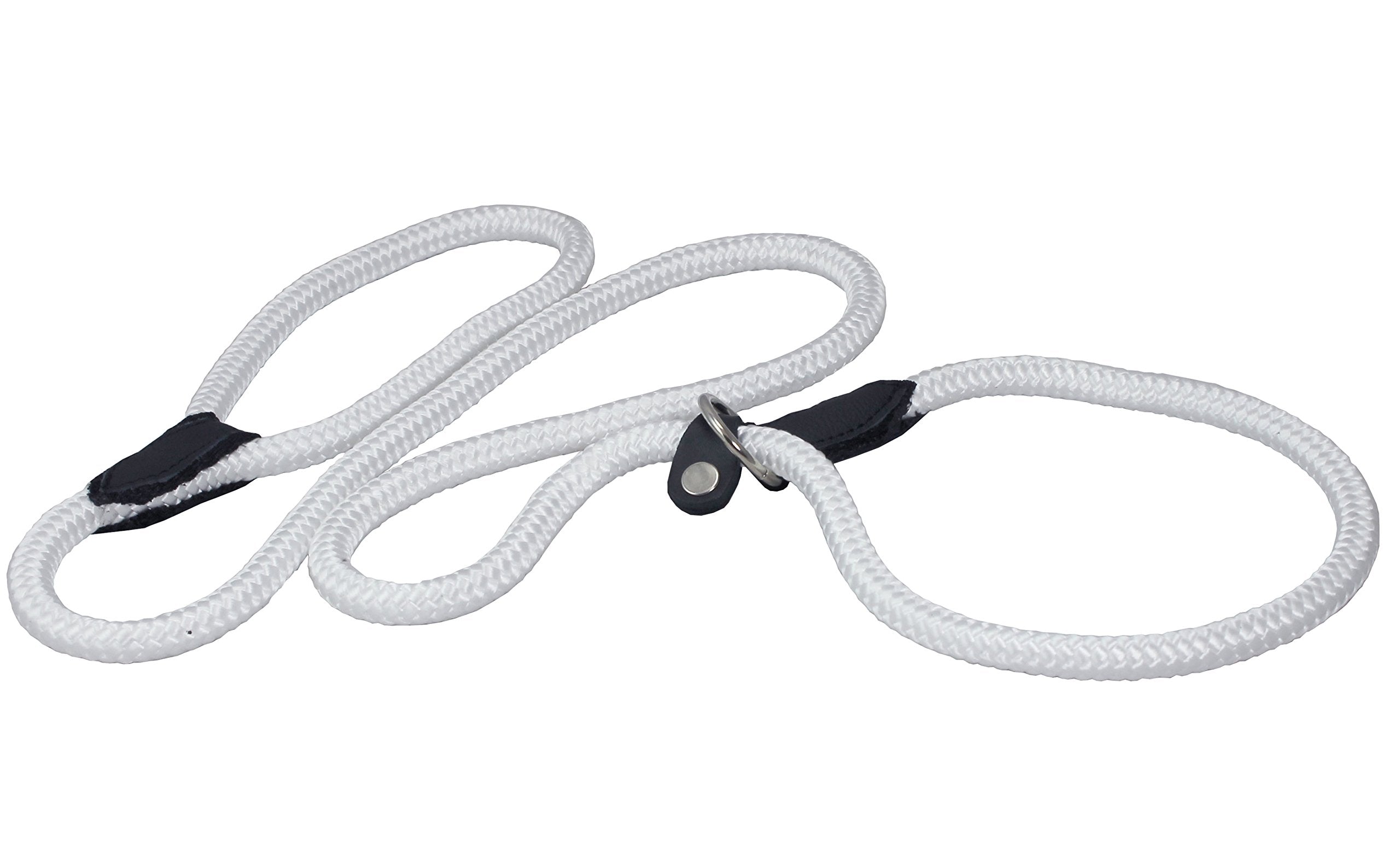 Dogs My Love Nylon Rope Slip Dog Lead Adjustable Collar And Leash 6Ft Long (Large: 0.4' (10Mm), White)