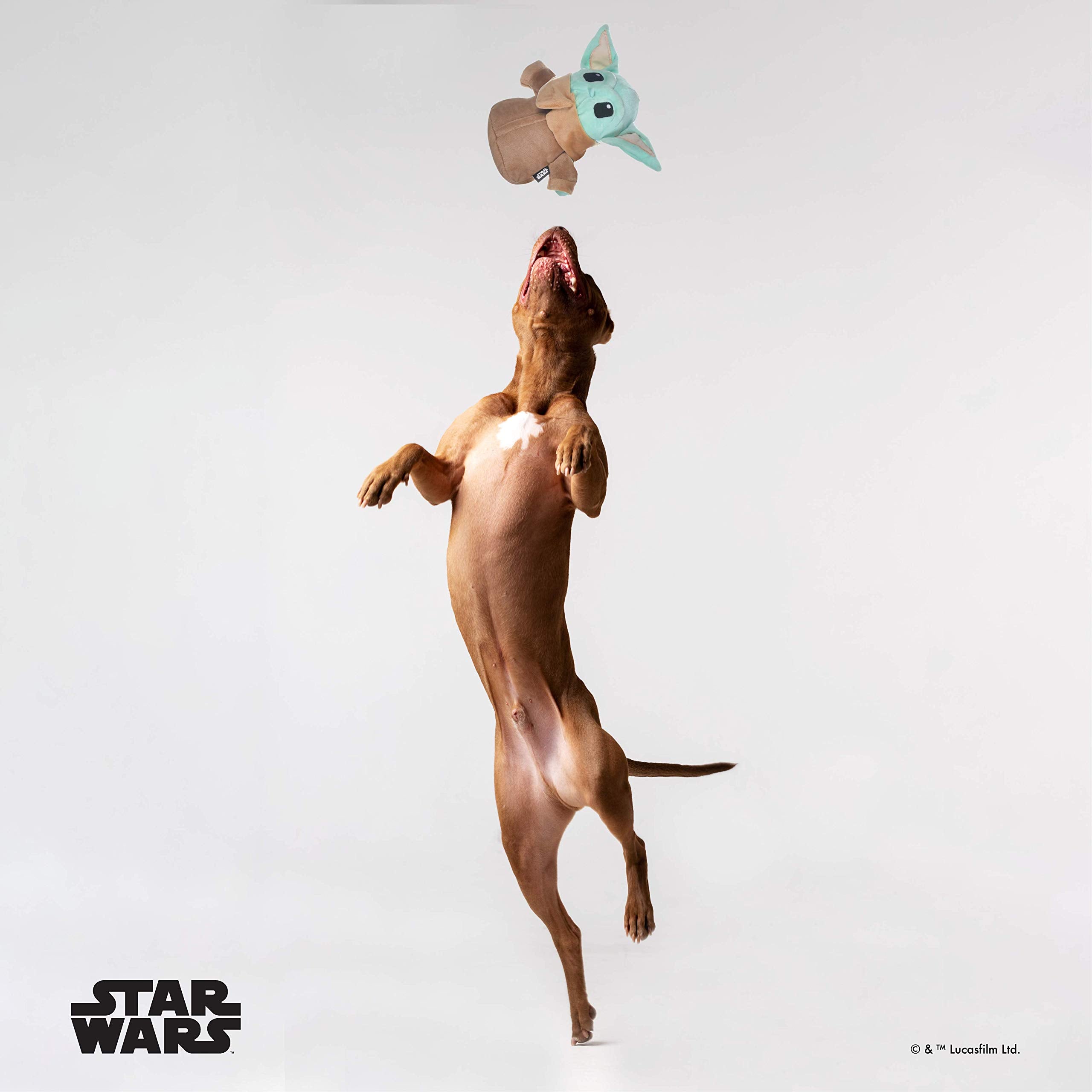 Star Wars For Pets Mandalorian The Child Plush Figure Dog Toy | 9 Inch Medium Dog Toy From The Mandalorian - Soft And Plush Dog