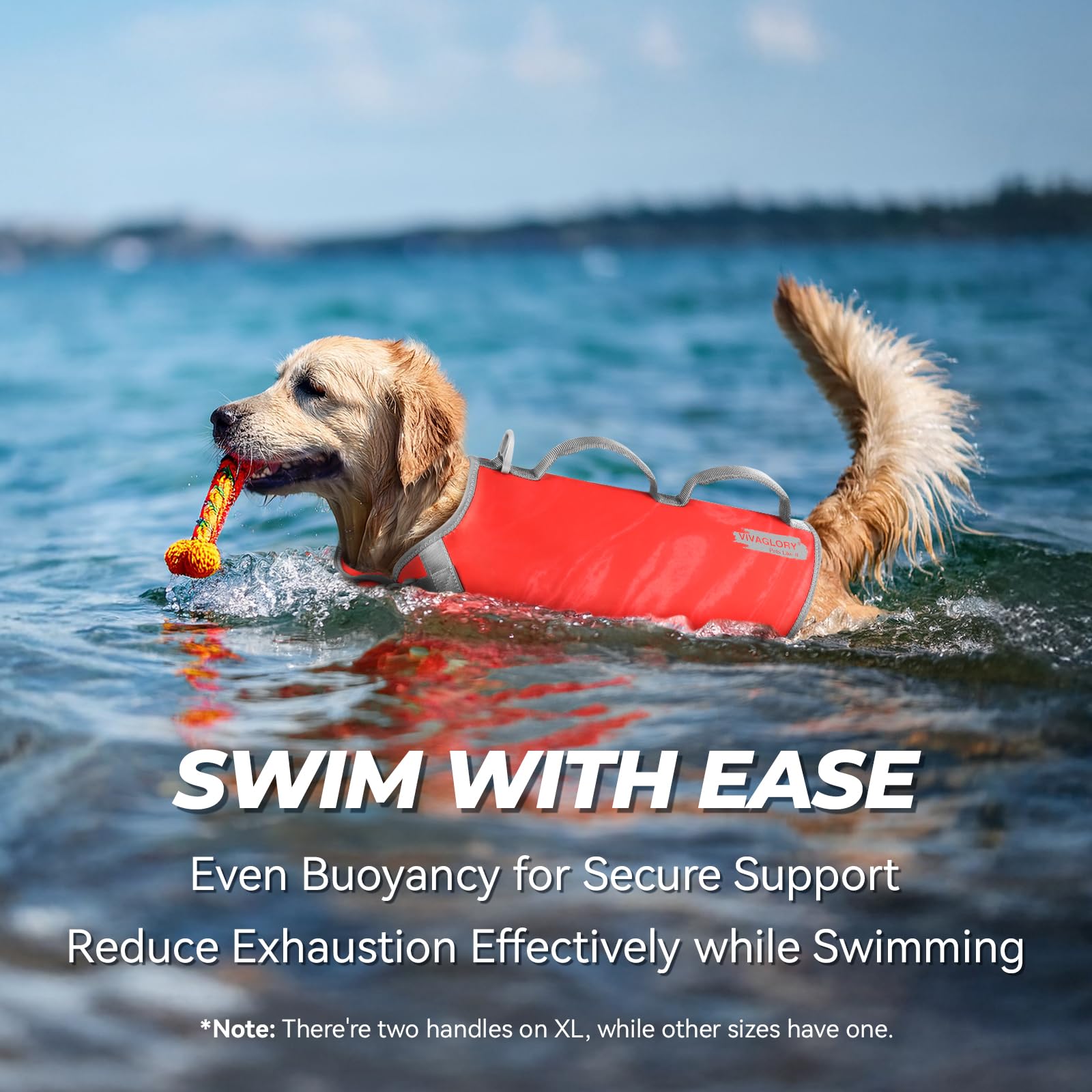 Vivaglory Neoprene Dog Life Jacket Dog Flotation Vest For Boating Hunting & Swimming, Lightweight With Leash Ring, S, Red Pomegr