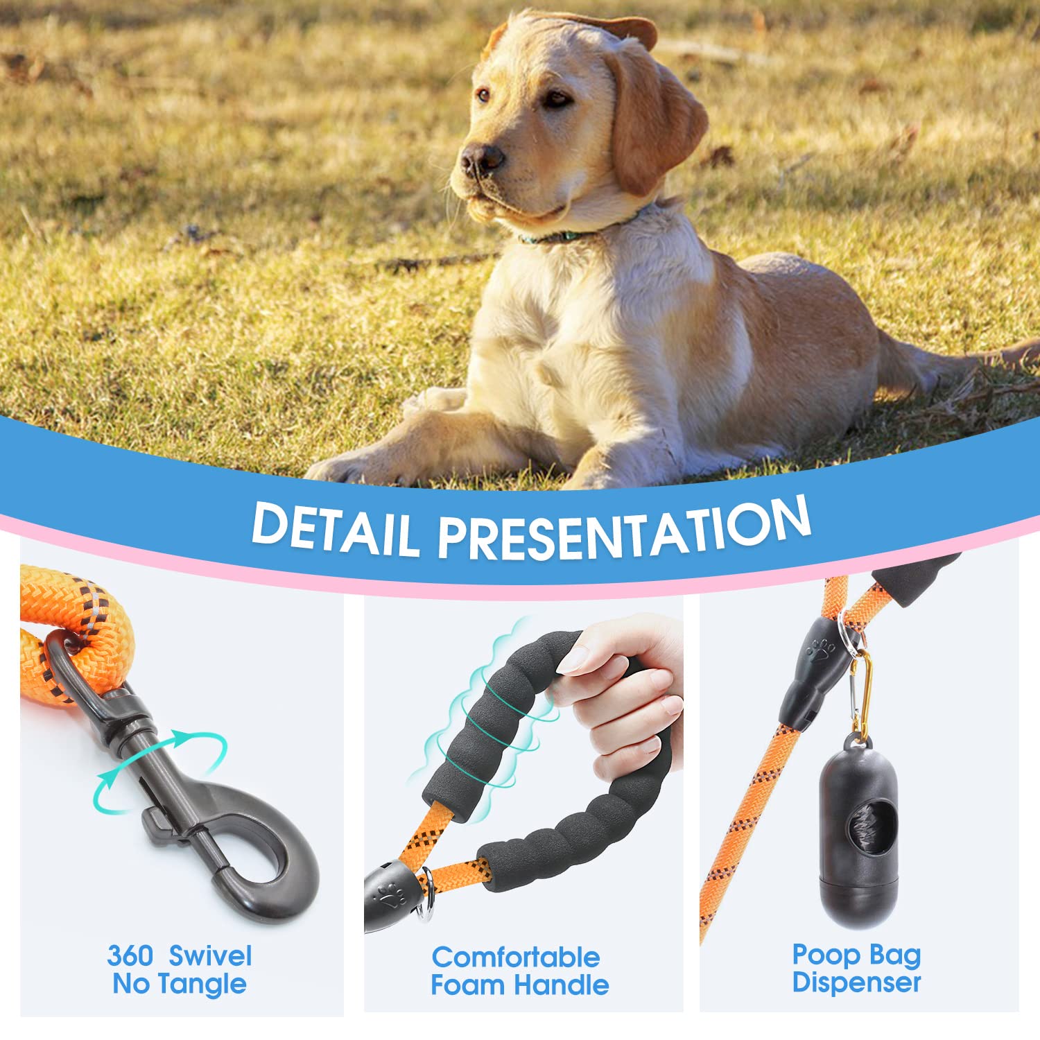Baapet 2/4/5/6 Ft Dog Leash With Comfortable Padded Handle And Highly Reflective Threads For Small Medium And Large Dogs (6Ft-1/