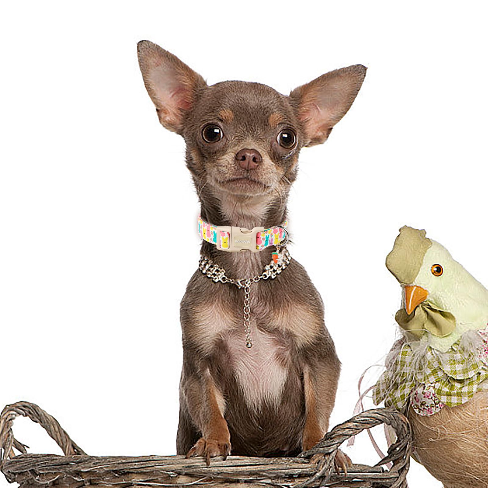 Dogwong Easter Dog Collar- Cute Coloful Egg Dog Collars Adjustable Designer Easter Day Puppy Heart Dog Collar For Small Medium L