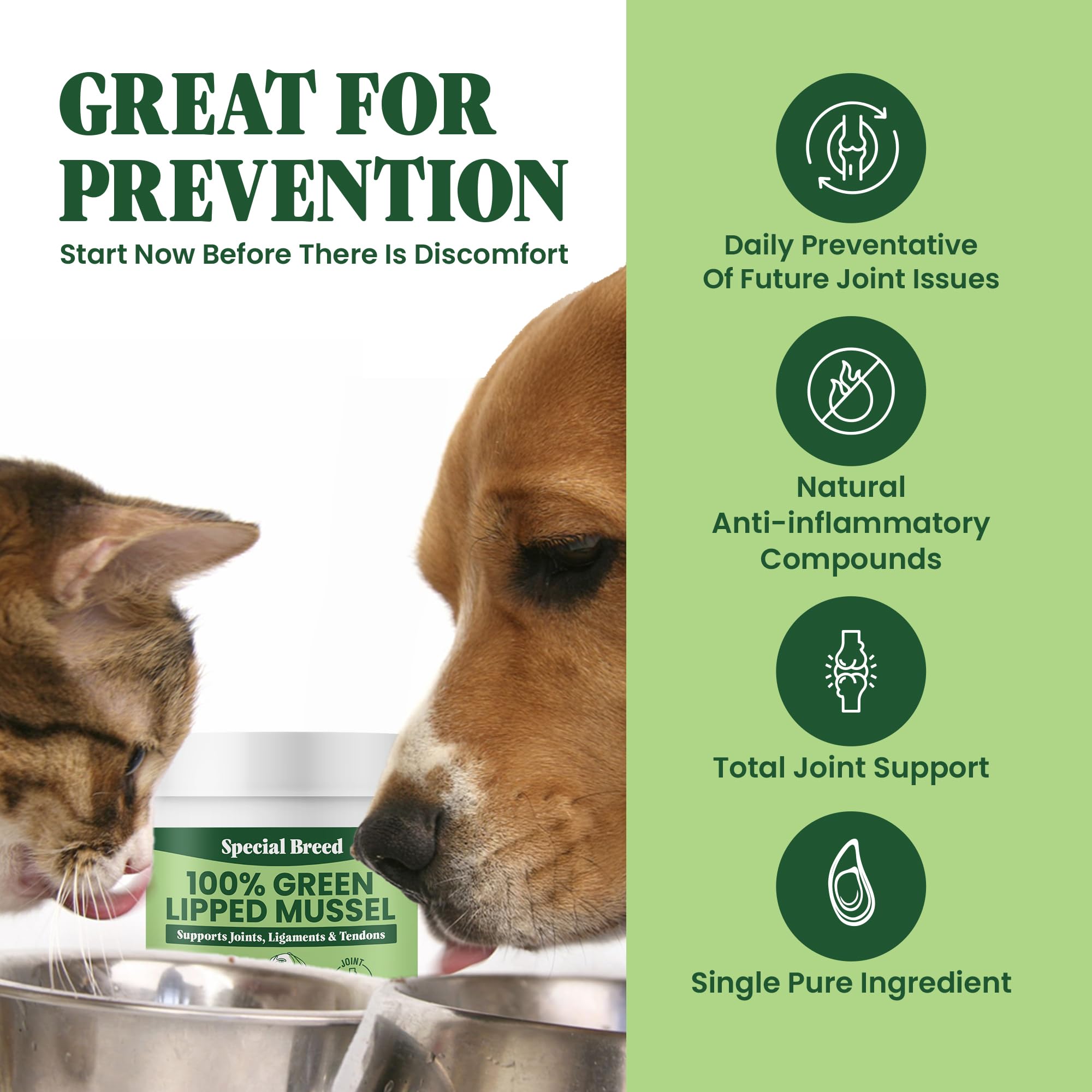 Green Lipped Mussel Powder for Dogs & Cats - 100% New Zealand Green Lipped Mussels - Natural Hip & Joint Supplement for Joints,
