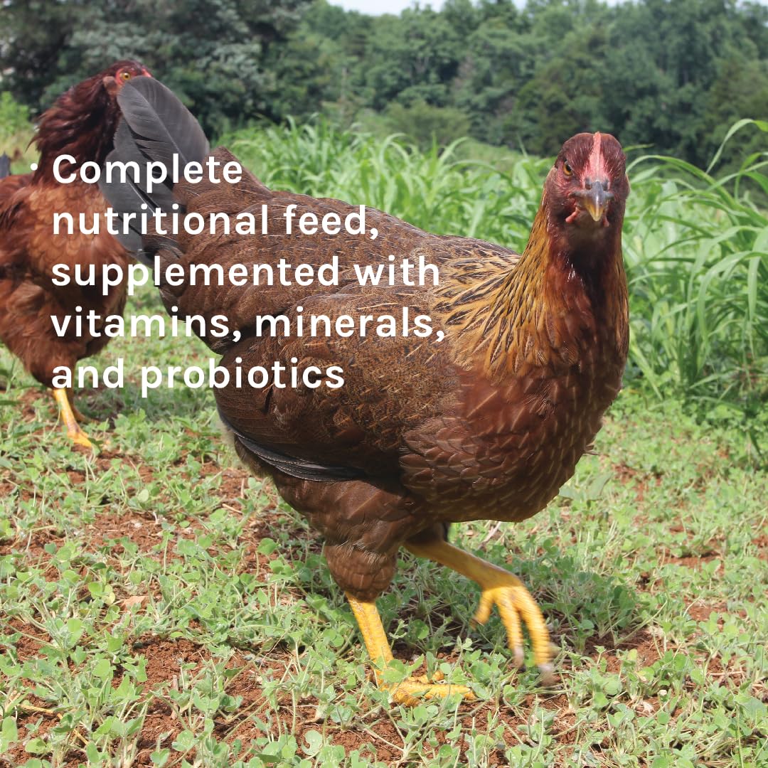 New Country Organics | Unmilled Layer Feed for Laying Hens | Soy-Free | 17% Protein | Certified Organic and Non-GMO | Great for