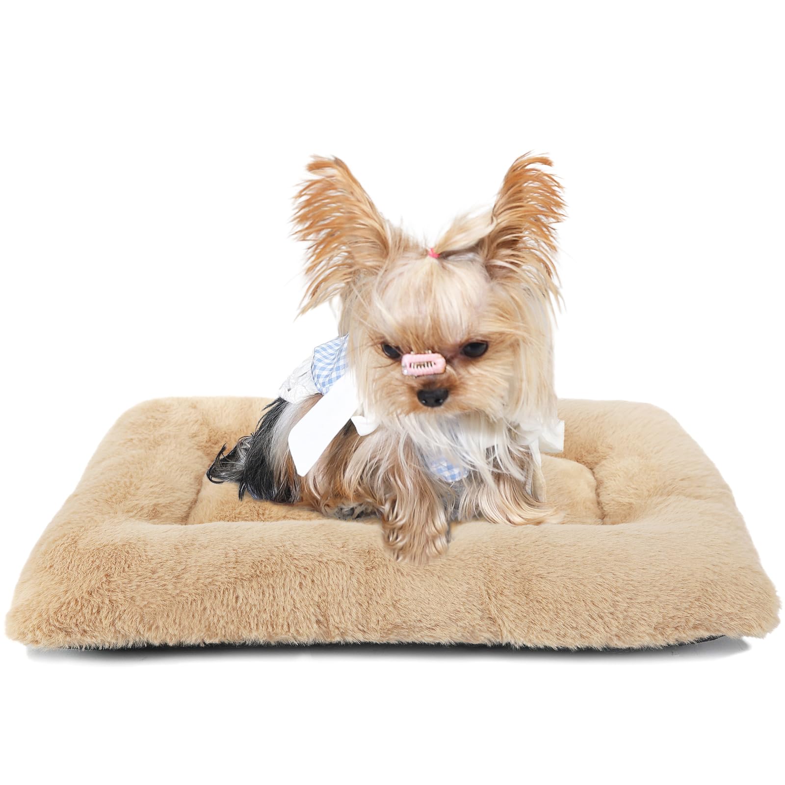 Dog Crate Bed 18 Inch Washable Dog Beds For Xx-Small Dogs Deluxe Thick Soft Fluffy Comfy Kennel Pad Anti-Slip Indoor Pet Sleepin