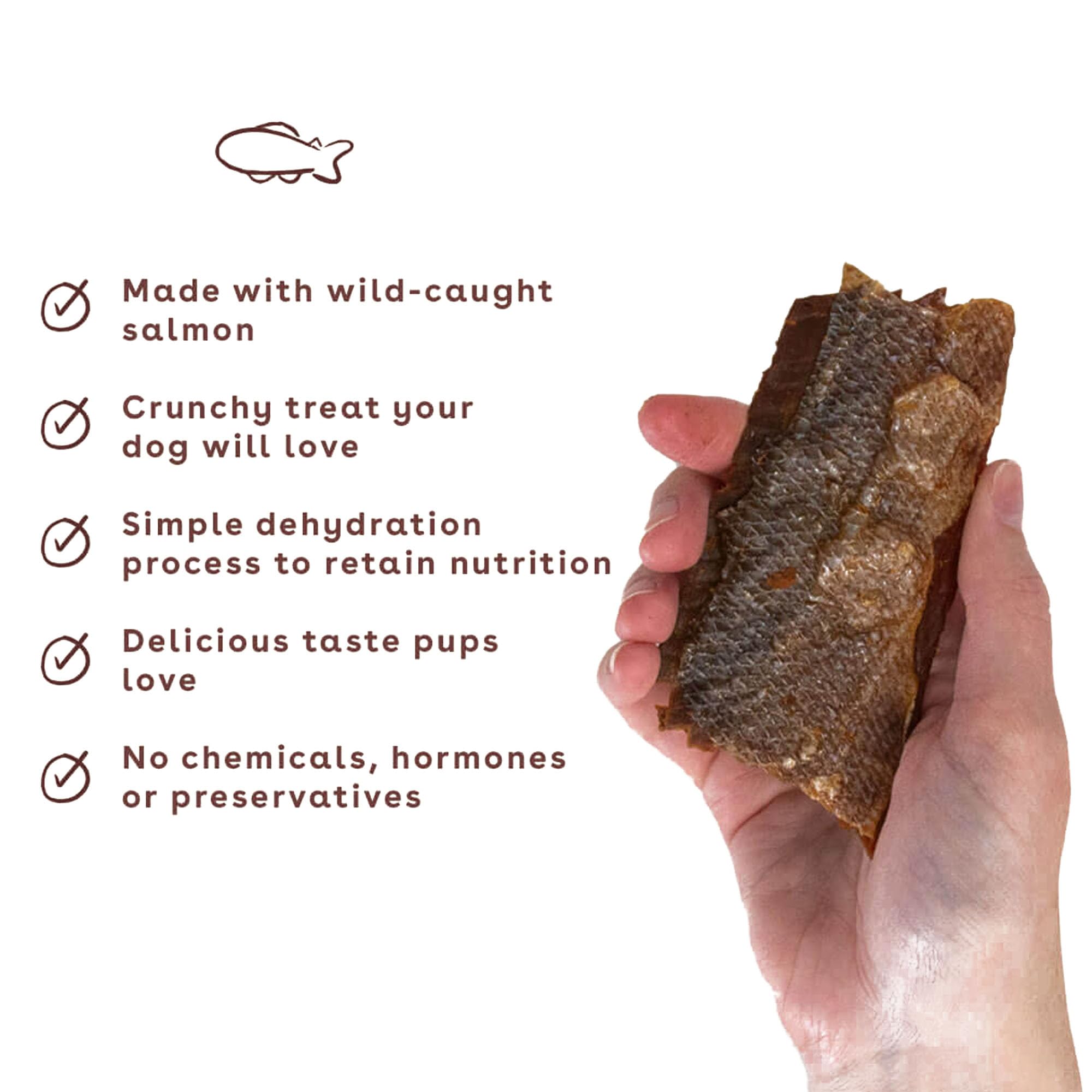 Pupford Crunchy Jerky Treats for Dogs & Puppies, Made in USA, Single Ingredient, No Fillers (Salmon, 8 oz)
