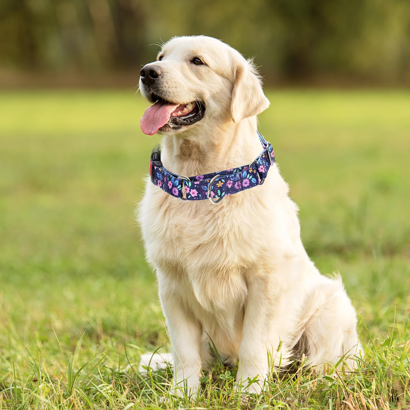 Martingale Collar For Small Dogs, Heavy Duty Training Collars With Bull Flower Design, Adjustable No Slip Collar With Safety Buc