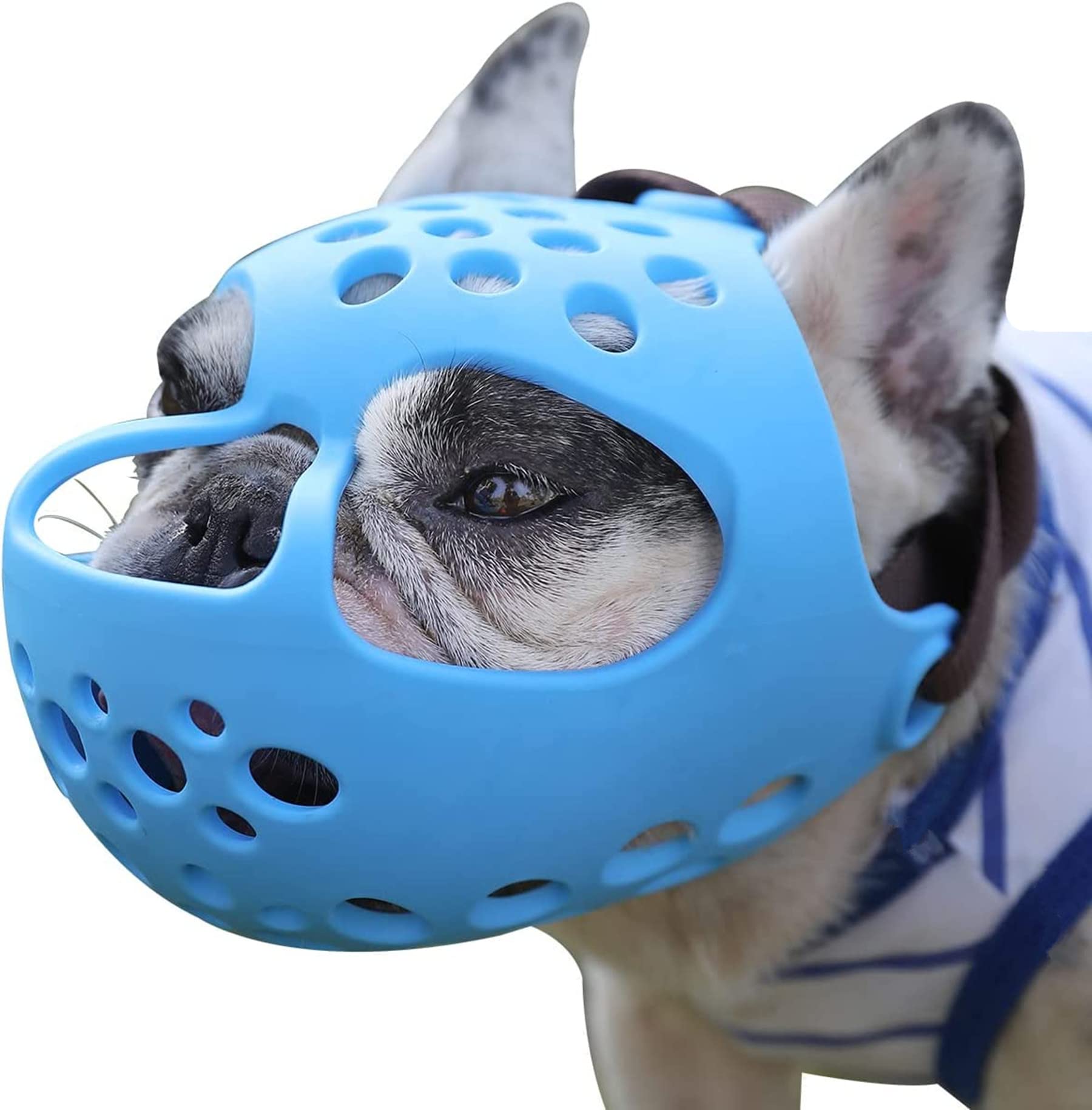 Jyhy Short Snout Dog Muzzles,Soft Silicone Adjustable Breathable Bulldog Muzzle For Biting Chewing Barking Training,Ideal For Flat-Faced Dogs (Small/10-13'(Pack Of 1), Blue)