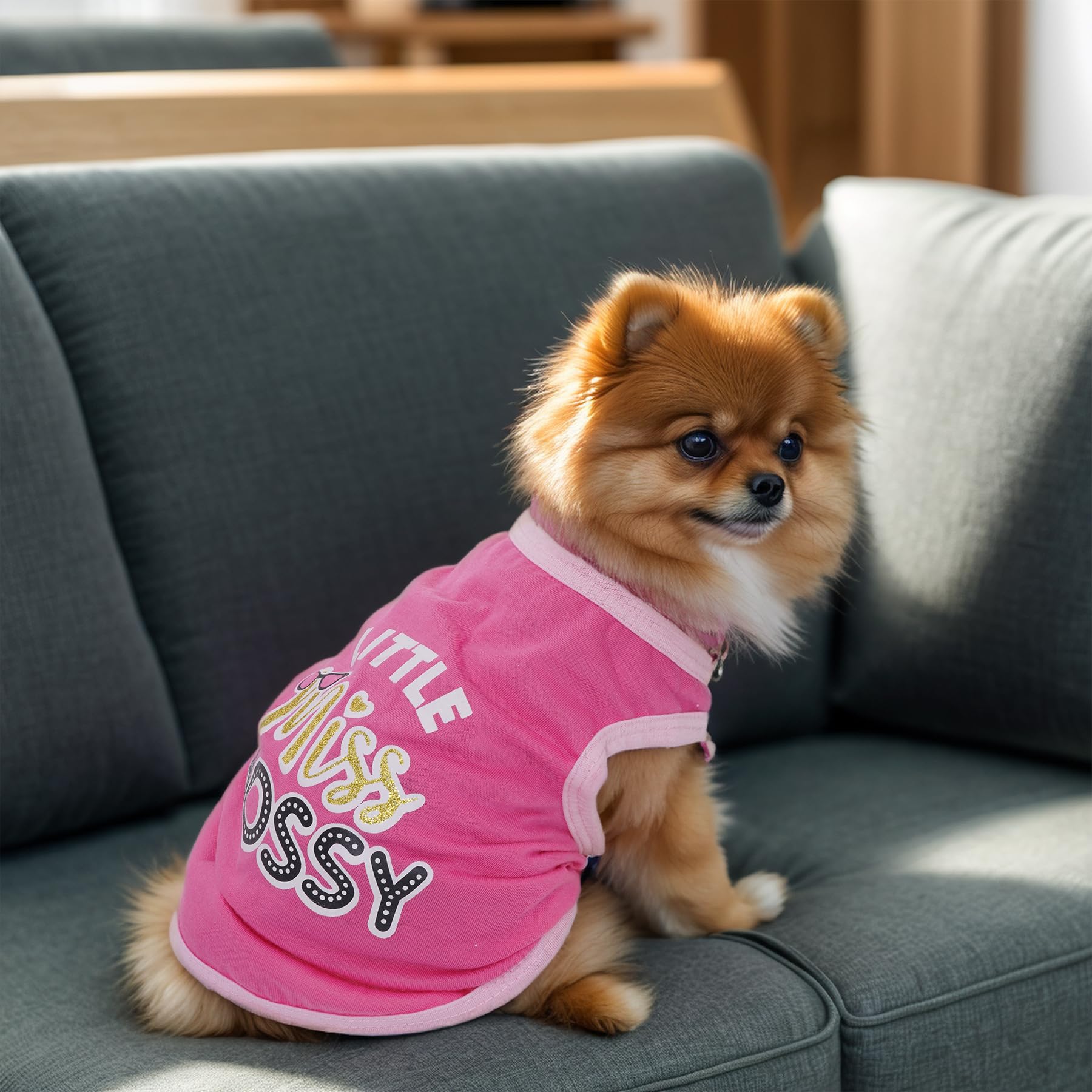 Pistha 4 Pack Dog Shirts Summer Printed Puppy Clothes Cute Sleeveless Pet T Shirts Dog Clothes For Small Medium Dogs Cats Girl(S