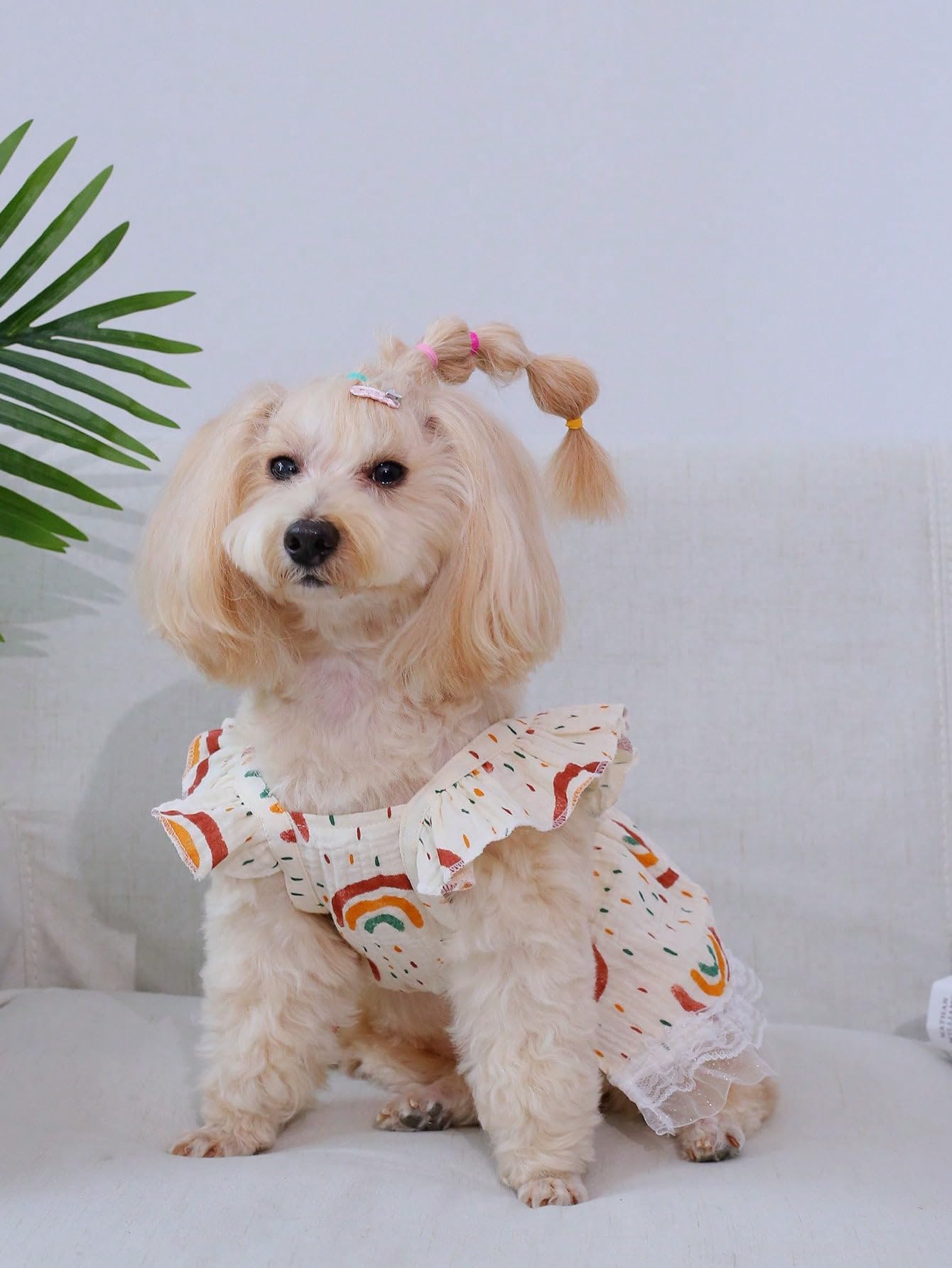 Qwinee 2Pc Cute Dog Dress Ruffle Trim Princess Dress Cat Vest Dress Lace Trim Summer Dress Pet Clothes For Small Medium Cats Dog