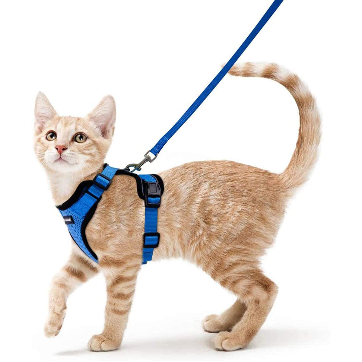 Rabbitgoo Cat Harness And Leash For Walking, Escape Proof Soft Adjustable Vest Harnesses For Cats, Easy Control Breathable Reflective Strips Jacket, Navy, Xs