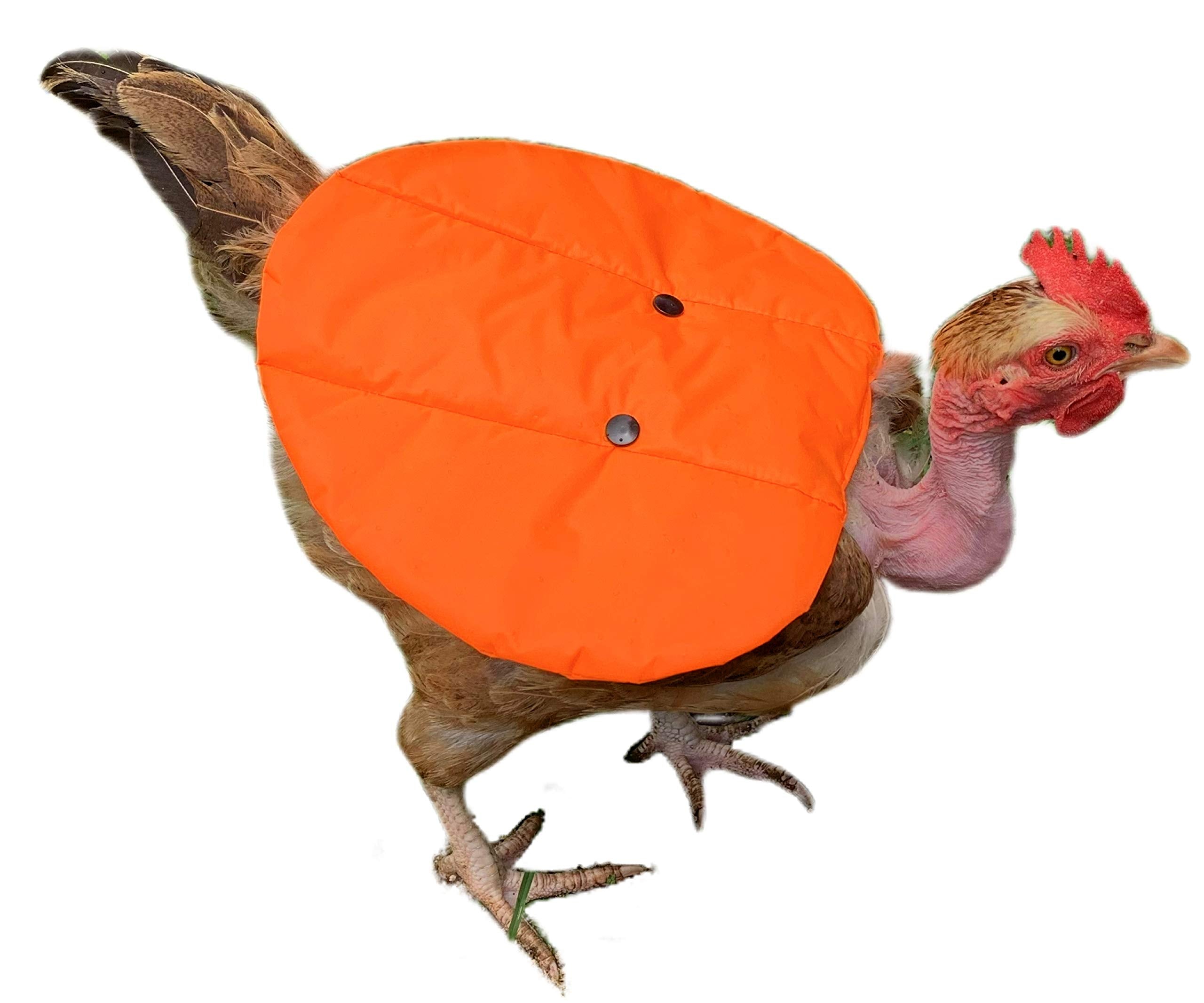 Lovencreatures - Diva Edition - Chicken Saddle Jacket (1 Apron Pack) Hen Supplies W/Over The Wing Poultry Feather Saver | Hackle