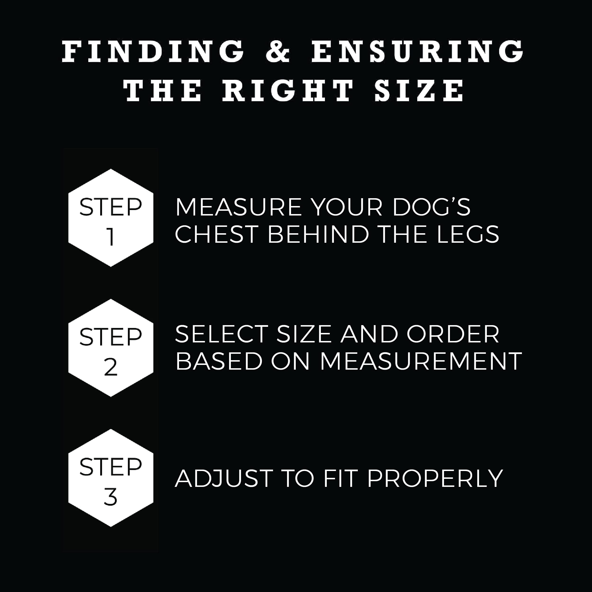 Wolfgang Heavy Duty Adjustable Dog Harness, Pull-Tested To Over 800 Lbs For Walking & Training, Losmuertos Print, Large