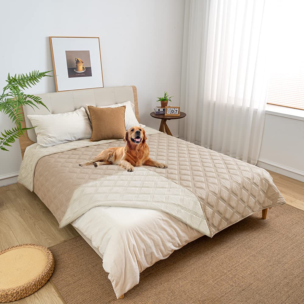 fuguitex Waterproof Dog Blanket, Pet Friendly Reversible Throw Essential for Small Dogs, Tear Resistant Leakproof Washable Couch