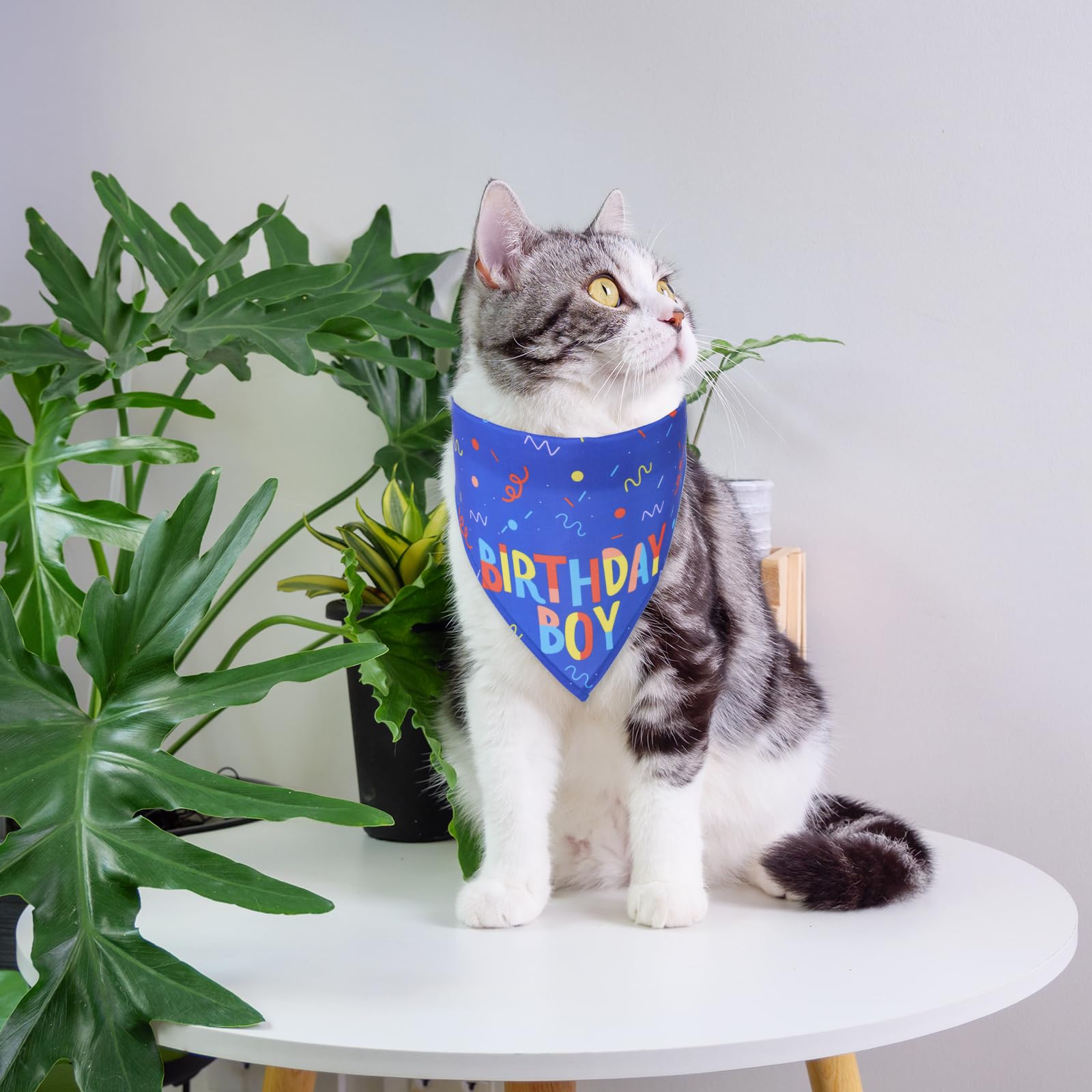 Grevosea Birthday Boy Dog Bandana, Printed Dog Birthday Bandana Pet Scarf For Small Medium Large Cats Dogs Birthday Party Suppli