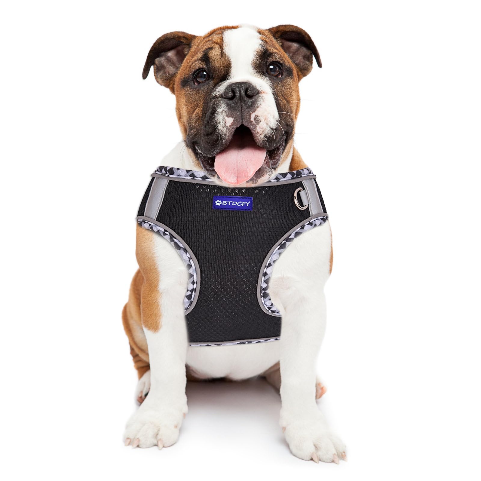 Btdcfy Step-In Mesh Dog Harness And Leash Set, Breathable Air Mesh, Reflective, Escape Proof, No Choke, Lightweight, Black, S(Ne
