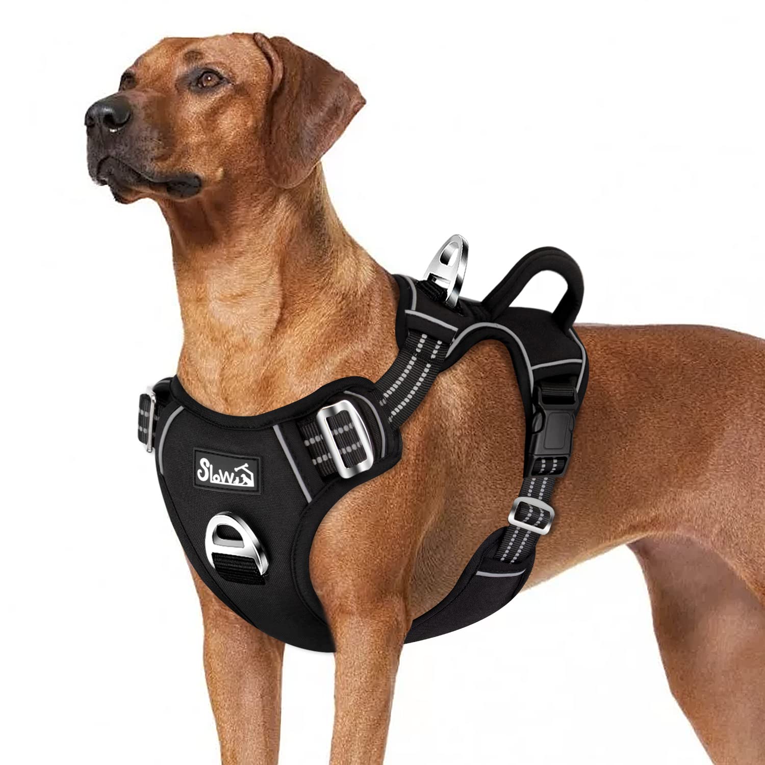 Slowton No Pull Dog Harness, Heavy Duty No Choke Pet Harness With 2 Leash Clips And Easy Control Vertical Handle, Adjustable Soft Padded Dog Vest For Small, Medium And Large Dogs(Black,Large)