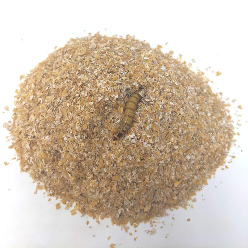EZ Botanicals Mealworm & Superworm Bedding - 1 Quart Ideal Substrate for Storing Meal and Super Worms